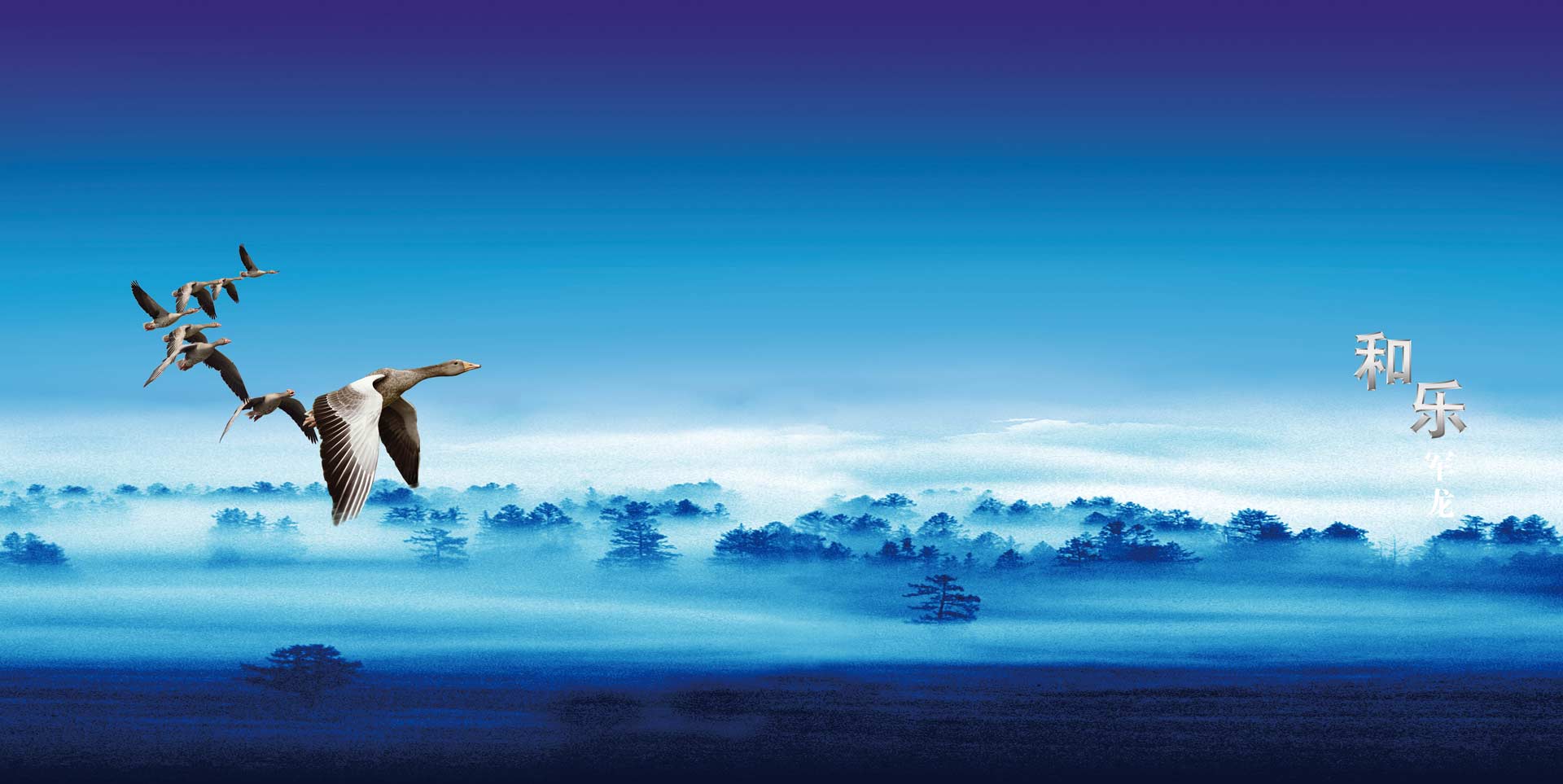 banner